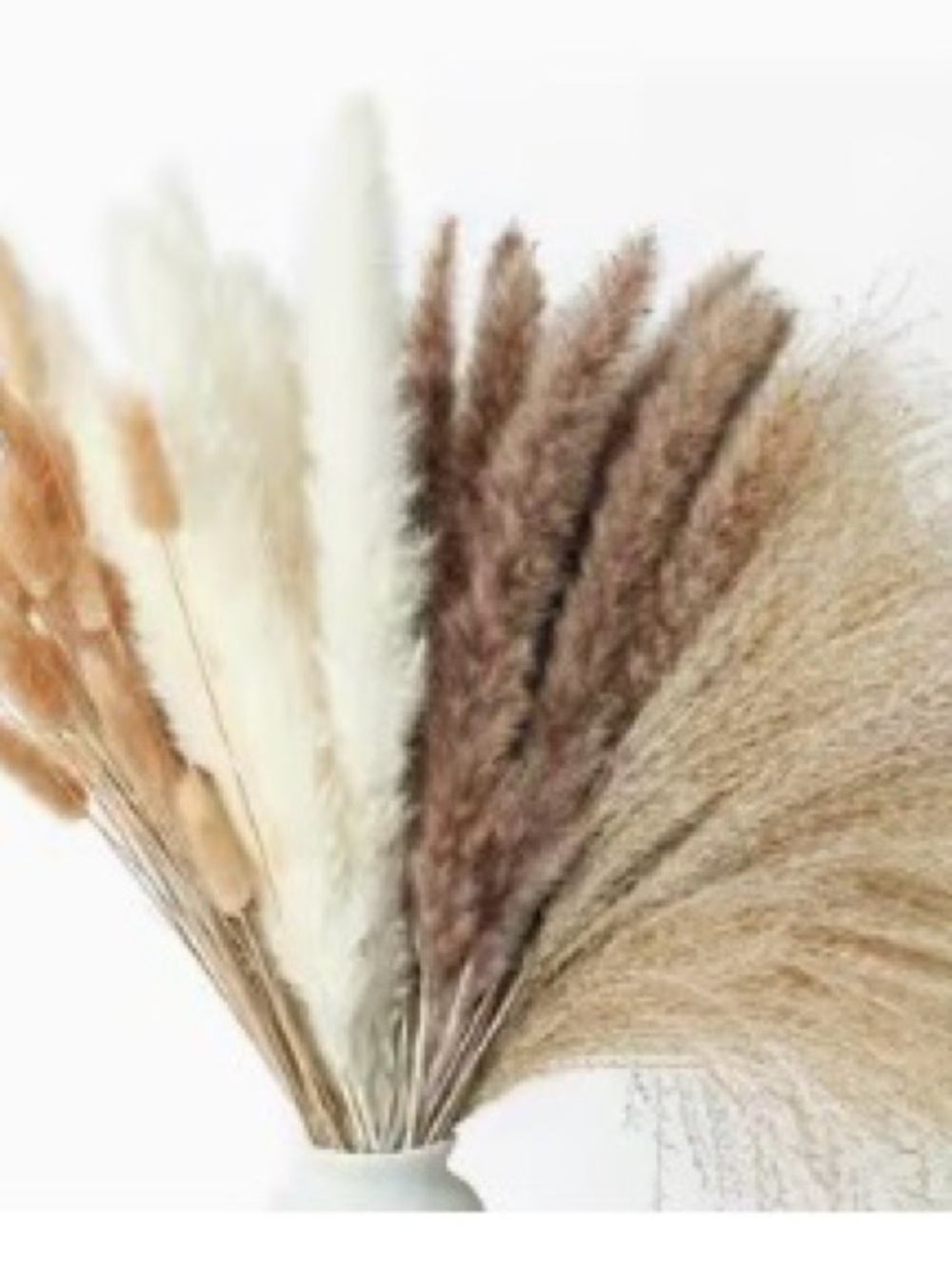 Decorative Dried Pampas Grass Bundle - Taupe and Cream